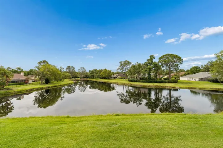 Serene pond views