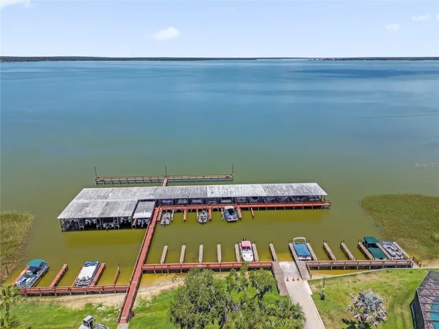 Shore of Lake Griffin