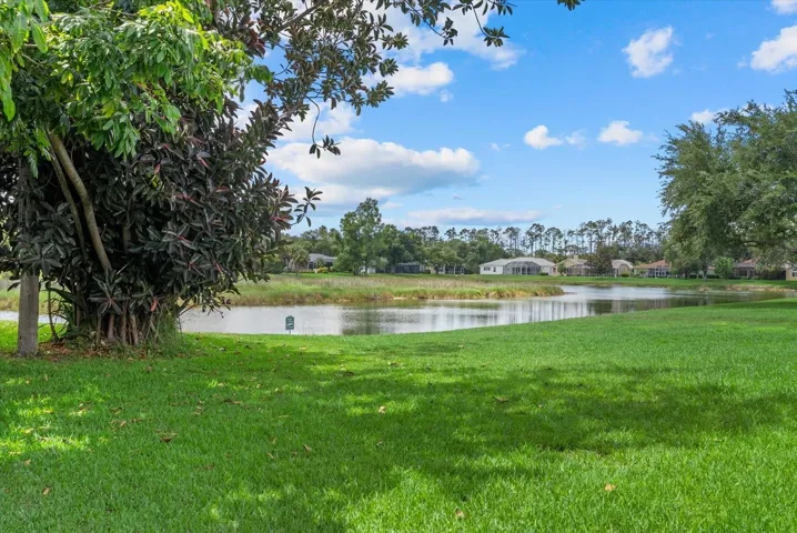 Backyard View