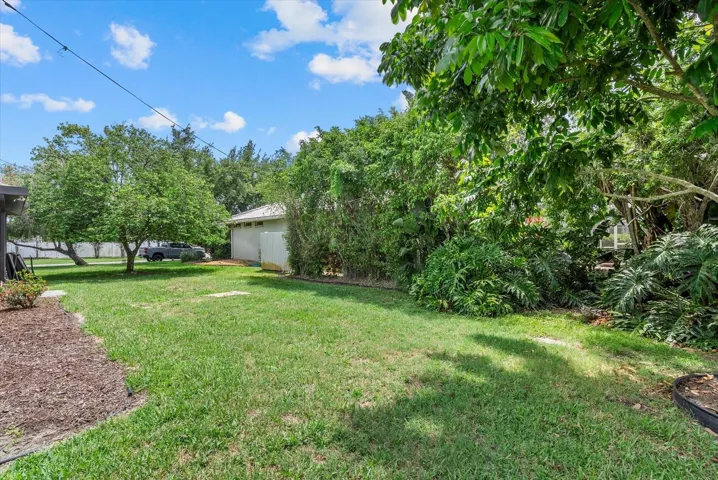 Side Yard
