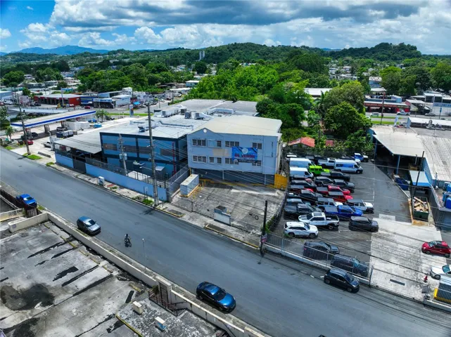 Aerial view of the avenue.