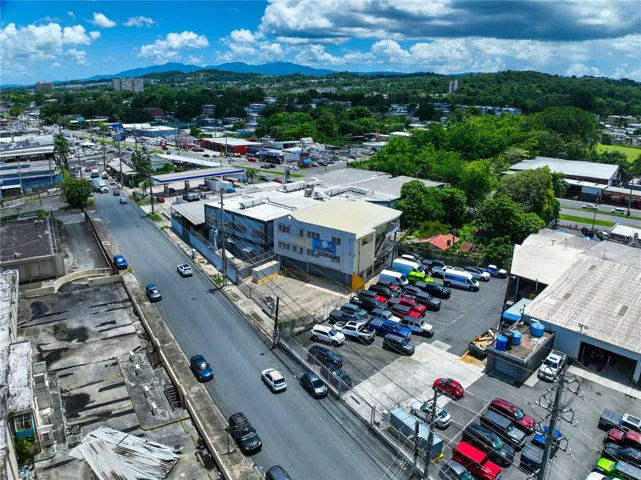 Aerial view of the avenue.