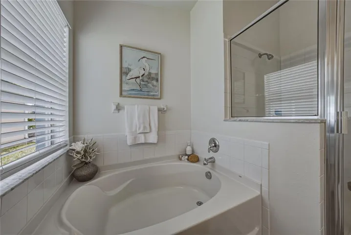 Primary Bath with Tub and Separate Shower