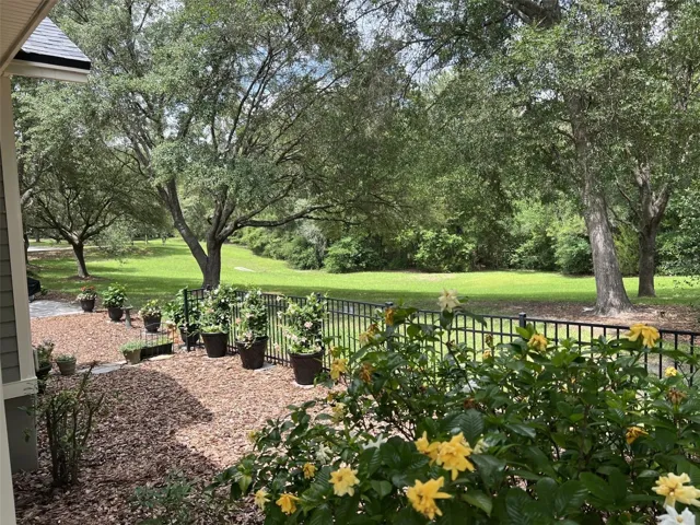 View from the house