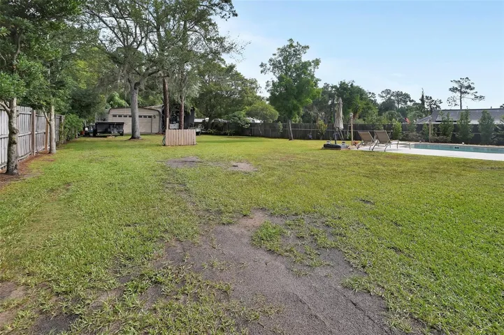 Backyard