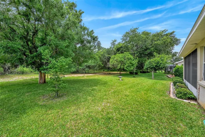 Backyard with nature preserve view