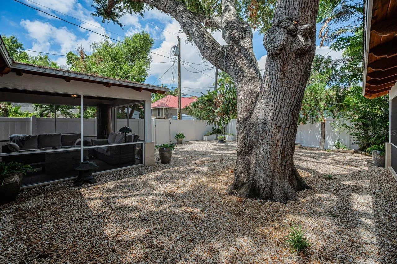 The Oak tree has been maliciously cared for and is over 100 years old.