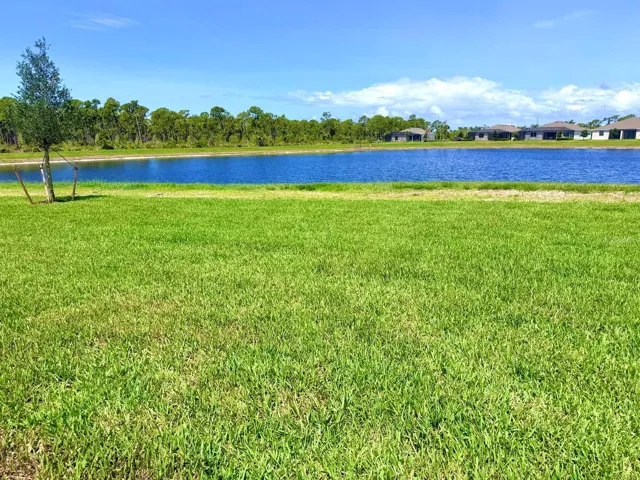 Backyard View