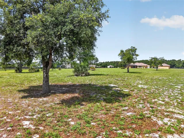 Scattered trees on property ~