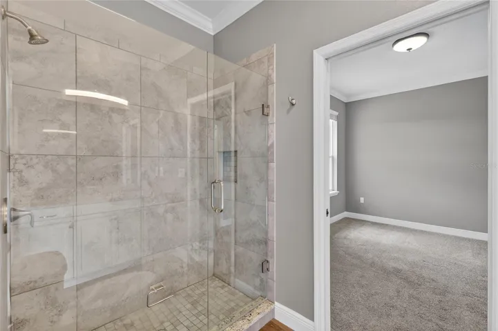Tiled shower with custom niche in Bathroom 4 ~
