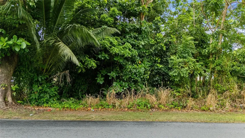 Vacant Land