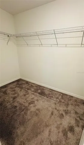 Primary walk-in Closet