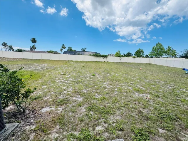 Expansive Backyard