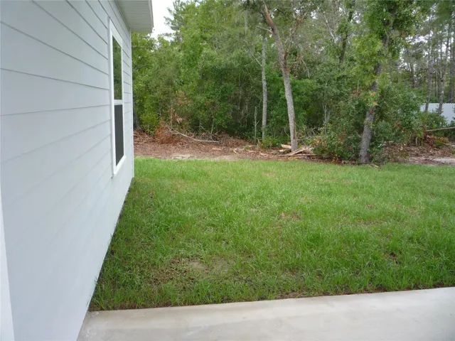 Back side yard