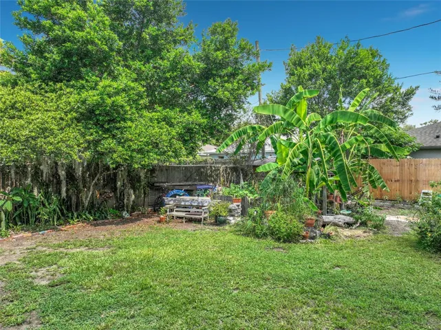 Back yard