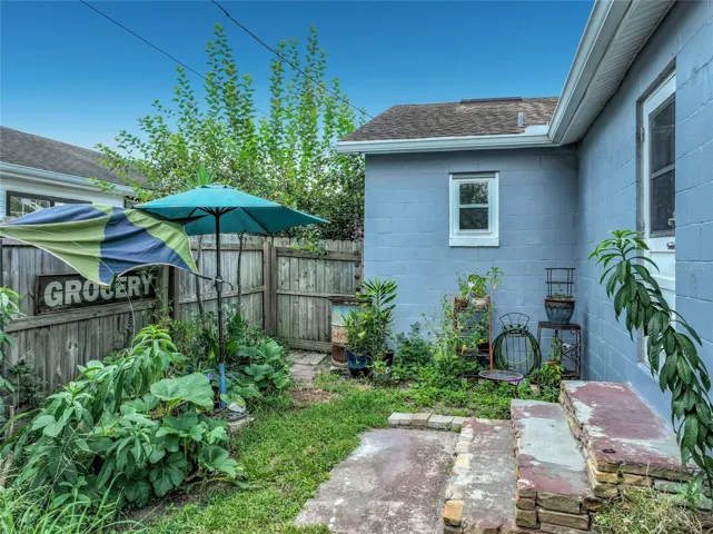 Back yard