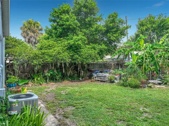 Back yard