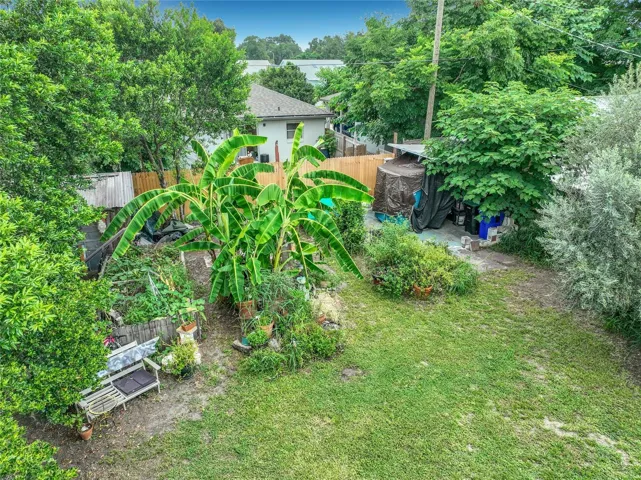 Back yard