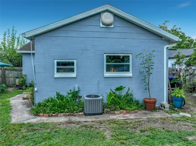 Back yard