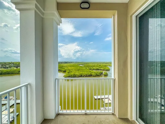 View from the back Balcony