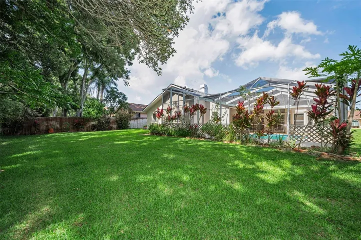 Beautiful Backyard!