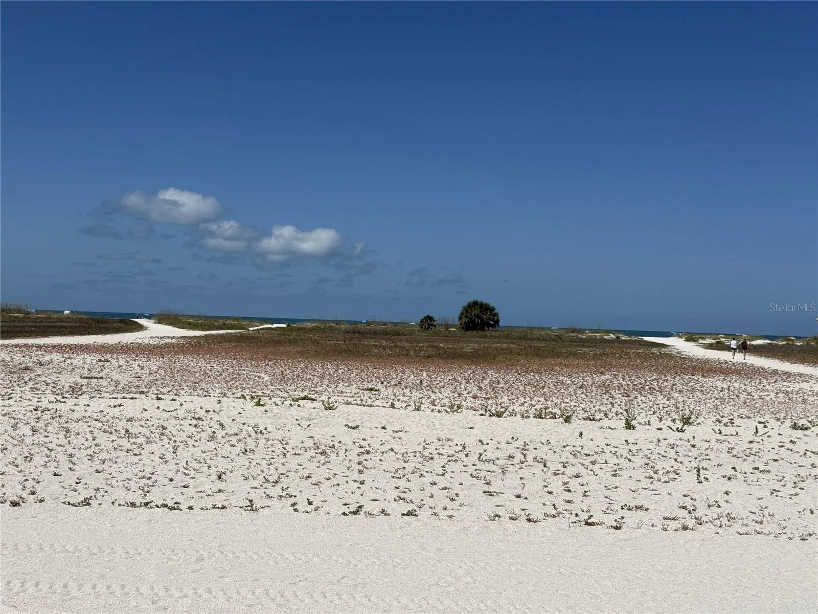Large beach area with paths