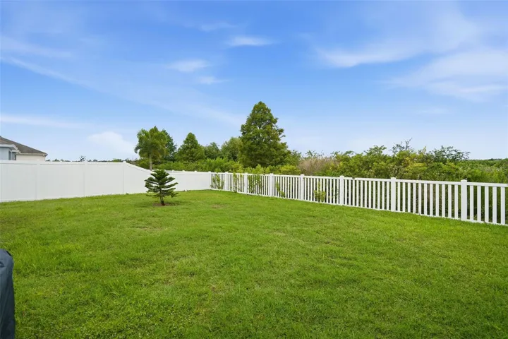Large Backyard overlooking Preserve