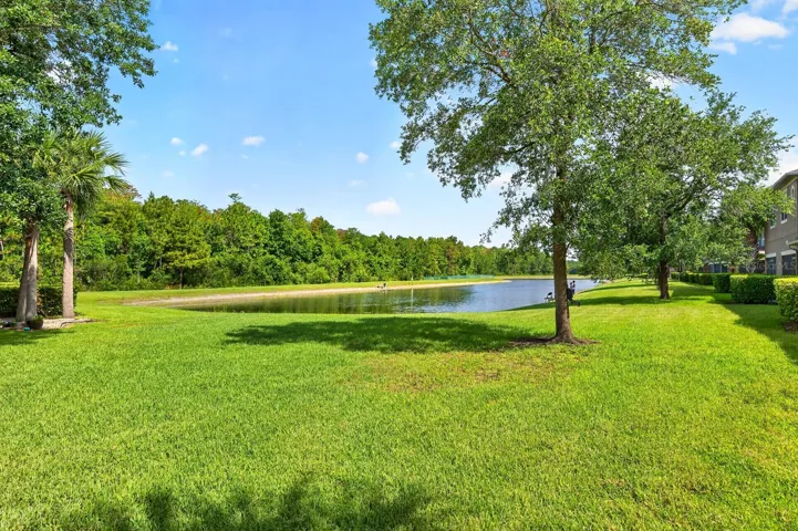 Pond Views.