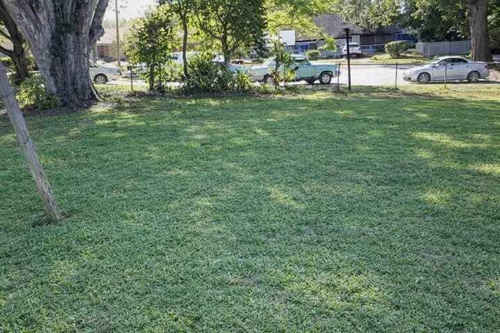 Large fenced backyard with mature trees—perfect for pets, gatherings, and outdoor living.
