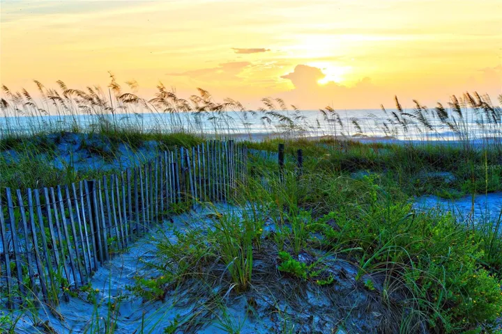 Enjoy our Gulf Beaches