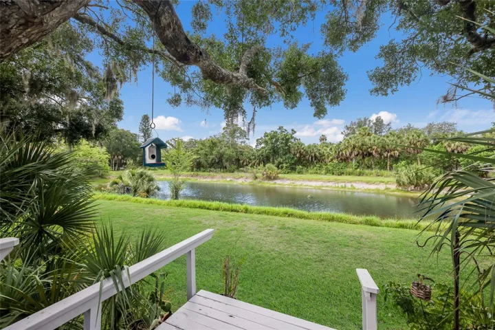 Amazing bird watching and wildlife outside your backyard.