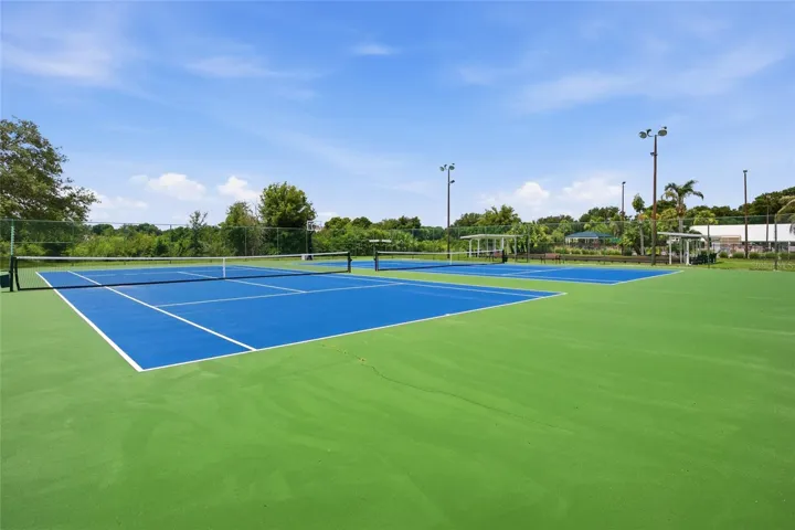 Tennis Anyone?