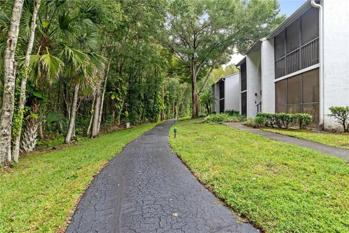 WALKING TRAIL