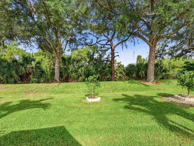 Private Backyard