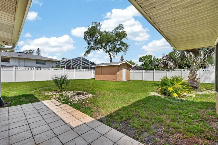Backyard