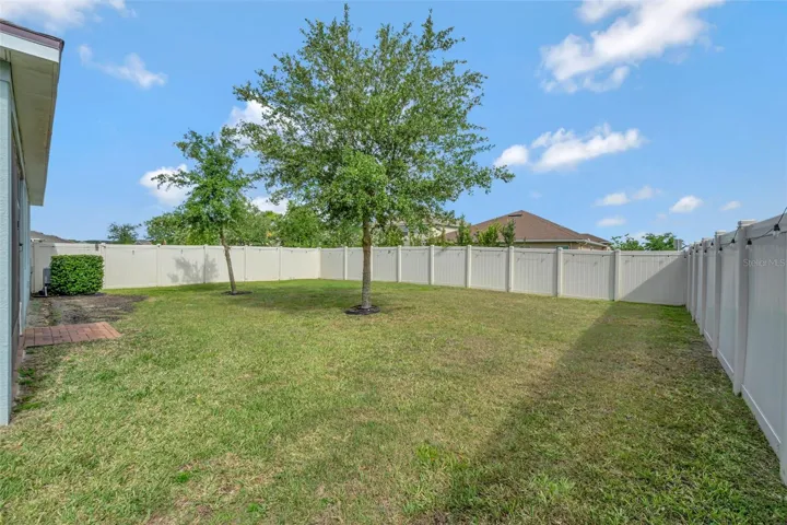 Spacious Yard.