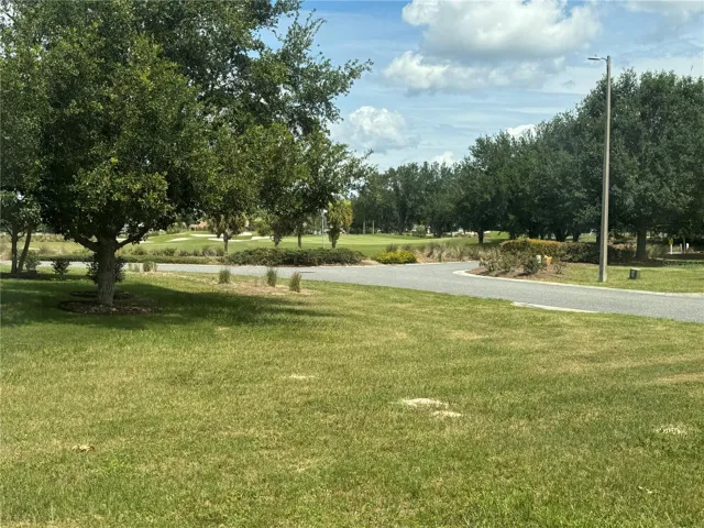 Wide open space