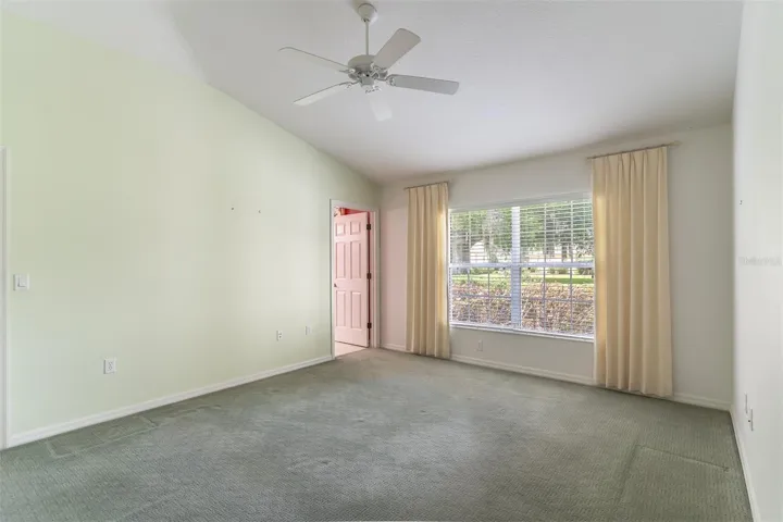 Vaulted ceiling & fan