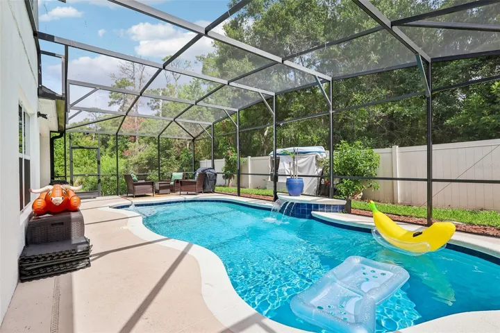 Backyard Oasis