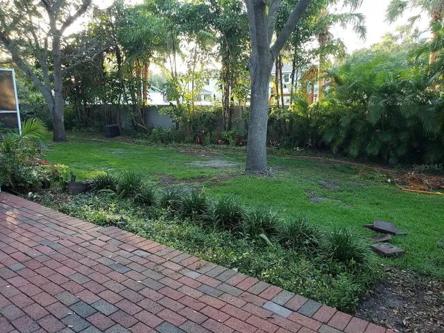 Backyard