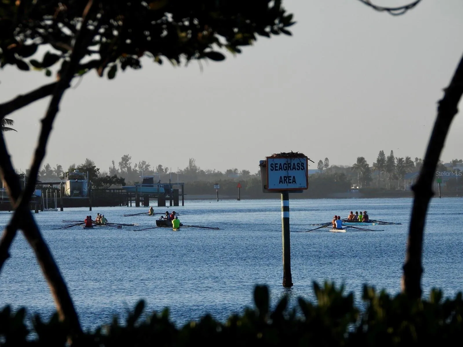 Crew teams on the intracoastal