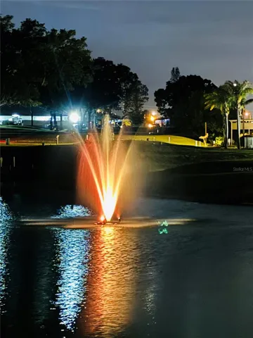 Water Feature on Pond