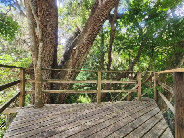 Tree House