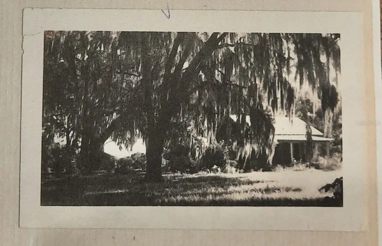 Historic photo of house