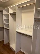 Master Built-In Closet