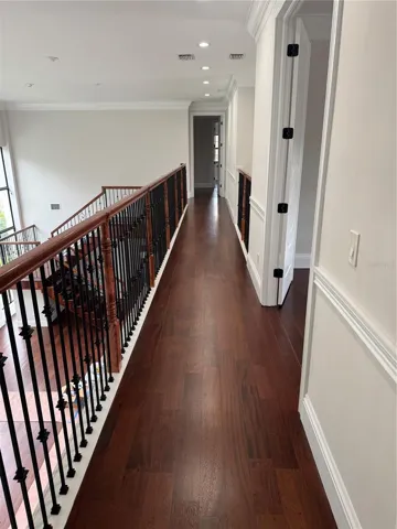 Cat Walk