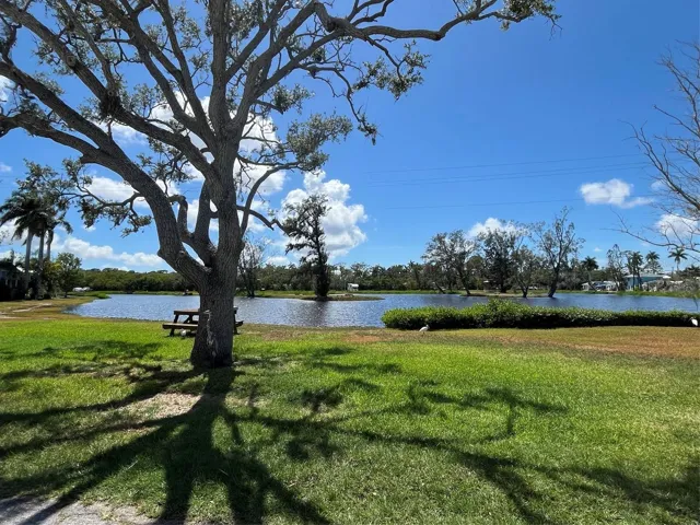 Lagoon