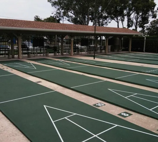 Shuffleboard