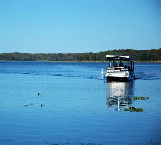 Lake Tarpon