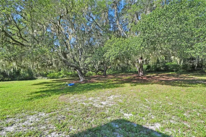 side yard